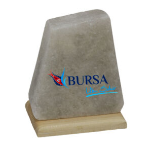 Bursa Tuz Lambası